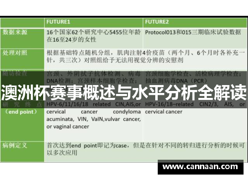 澳洲杯赛事概述与水平分析全解读