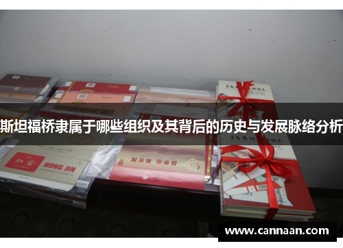 斯坦福桥隶属于哪些组织及其背后的历史与发展脉络分析